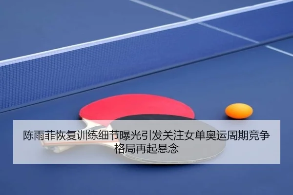 陈雨菲恢复训练细节曝光引发关注女单奥运周期竞争格局再起悬念